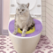 Portable Washable Cat Travel Toilet NonSlip Reusable Pet Litter Box 2