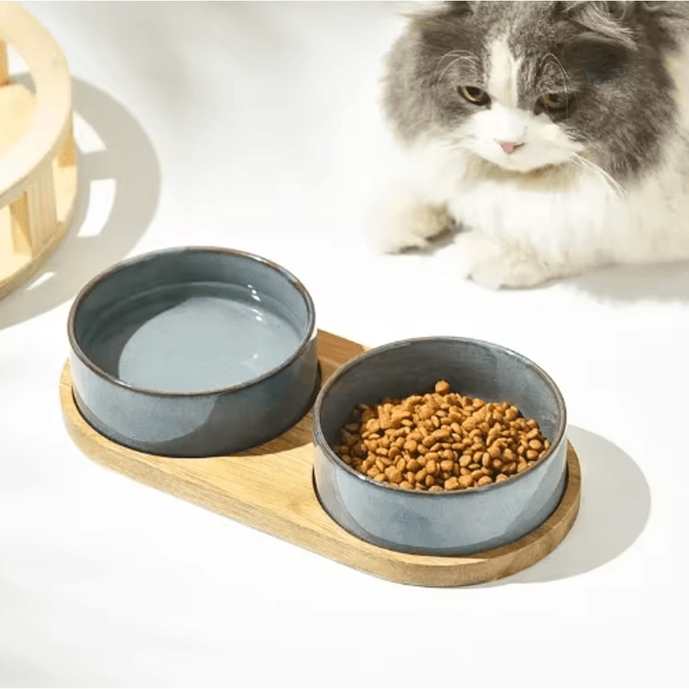 Elevated Ceramic Cat Bowl AntiSpill Food Water Feeder For Cats And Small Dogs 11