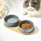 Elevated Ceramic Cat Bowl AntiSpill Food Water Feeder For Cats And Small Dogs 11