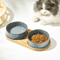 Elevated Ceramic Cat Bowl AntiSpill Food Water Feeder For Cats And Small Dogs 11