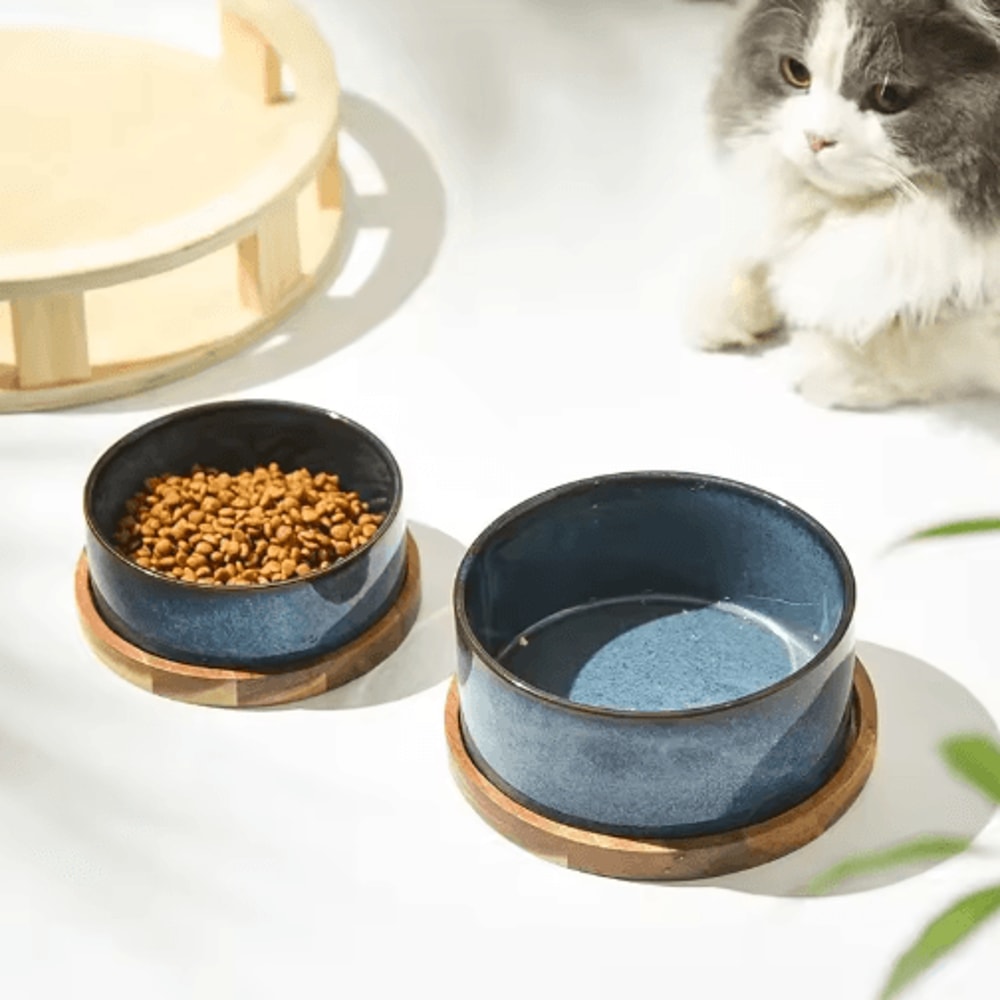 Elevated Ceramic Cat Bowl AntiSpill Food Water Feeder For Cats And Small Dogs 0