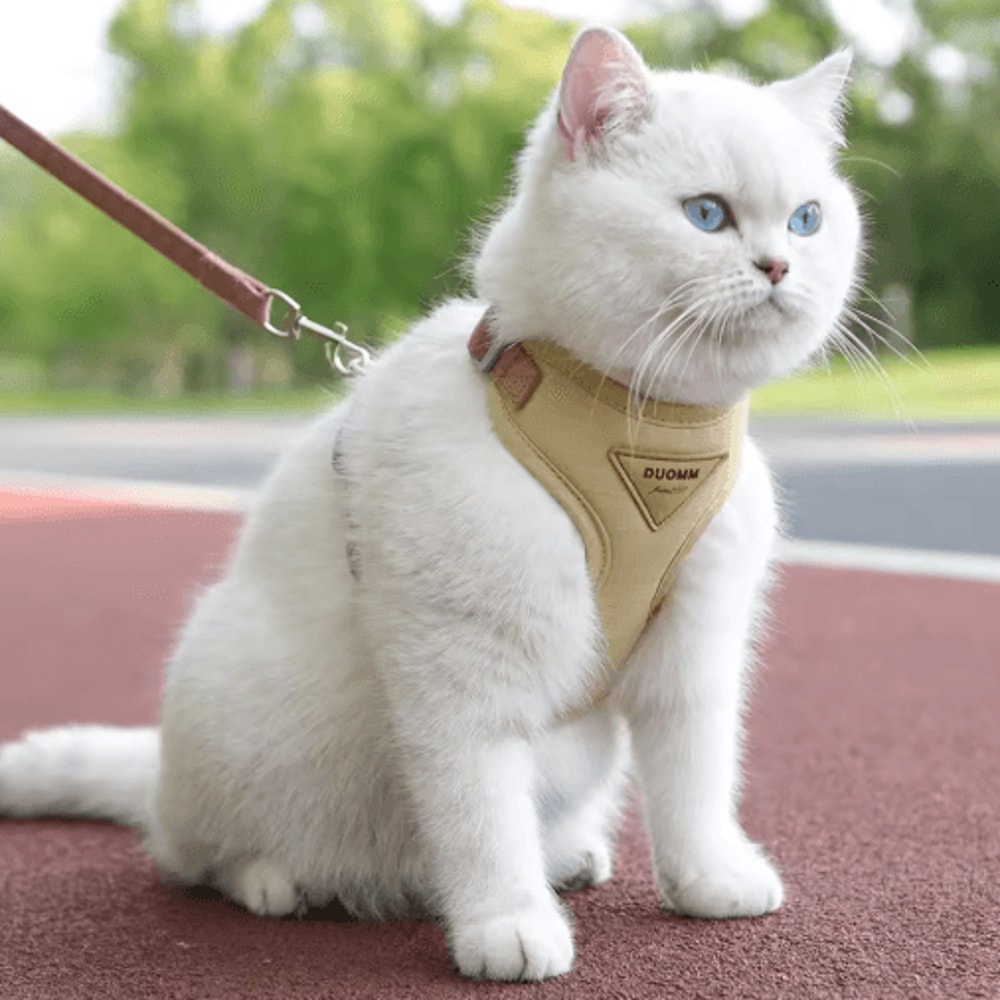Breathable Cat Harness And Leash Set Adjustable Outdoor Vest For Cats Small Dogs 0