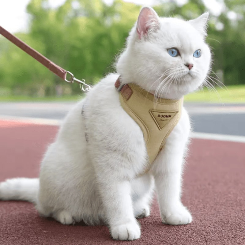 Breathable Cat Harness And Leash Set Adjustable Outdoor Vest For Cats Small Dogs 0
