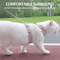 Breathable Cat Harness And Leash Set Adjustable Outdoor Vest For Cats Small Dogs 7