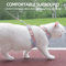 Breathable Cat Harness And Leash Set Adjustable Outdoor Vest For Cats Small Dogs 7