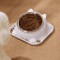 Stainless Steel AntiSpill Cat Bowl NonSlip Pet Food Water Feeder 10