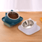 Stainless Steel AntiSpill Cat Bowl NonSlip Pet Food Water Feeder 13