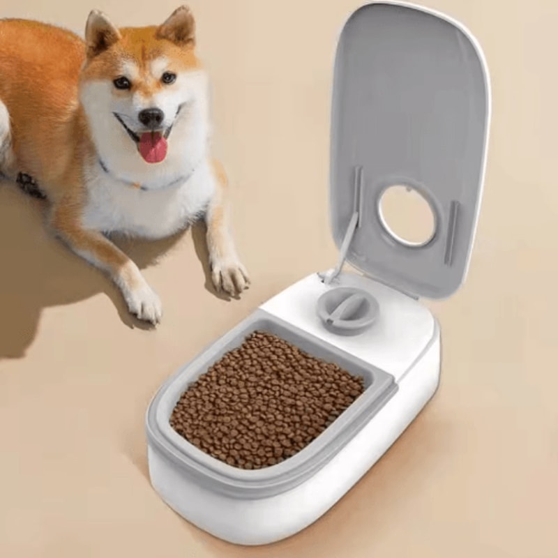 Automatic Timed Pet Food Dispenser Cooling Wet Food Bowl For Cats Dogs 5