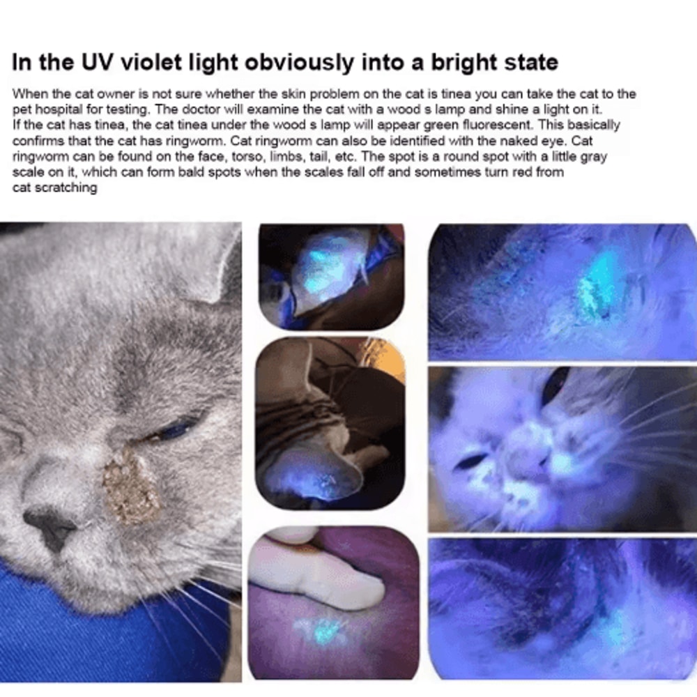 365nm UV Veterinary Wood Lamp Pet Fungus Ringworm Detection Flashlight 4