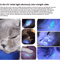 365nm UV Veterinary Wood Lamp Pet Fungus Ringworm Detection Flashlight 4