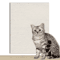 7Color SelfAdhesive Cat Scratch Mat Trimmable Sofa Furniture Protector 7