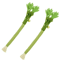 Catnip Molar Chew Toy Interactive Teeth Cleaning Stick For Cats 1