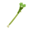 Catnip Molar Chew Toy Interactive Teeth Cleaning Stick For Cats 2