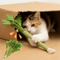 Catnip Molar Chew Toy Interactive Teeth Cleaning Stick For Cats 0