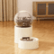Large Capacity Automatic Pet Feeder Water Dispenser Elevated Leakproof Feeding Station 5