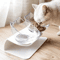 NonSlip Double Pet Bowl With Stand Elevated Food Water Feeder For Cats Dogs 12