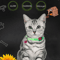 Luminous Silicone Cat Collar With Bell GlowintheDark AntiLost Collar For Cats Small Dogs 10