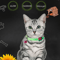 Luminous Silicone Cat Collar With Bell GlowintheDark AntiLost Collar For Cats Small Dogs 10