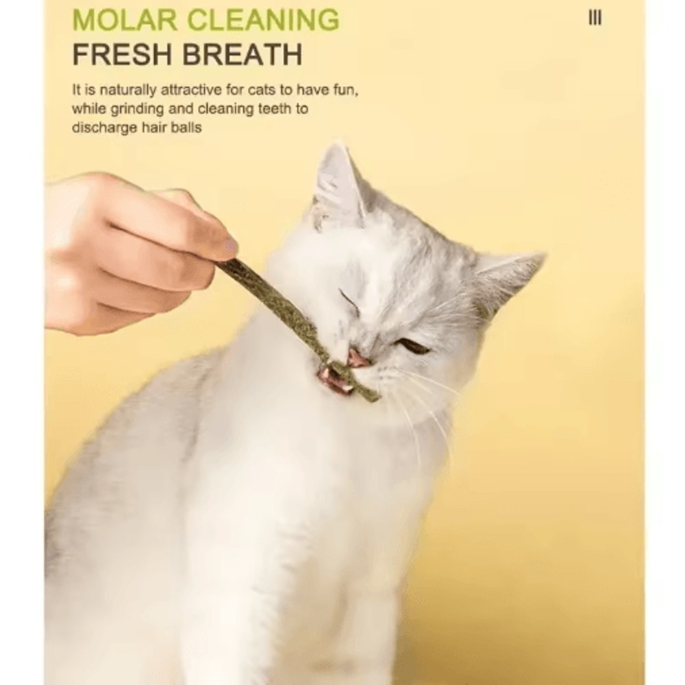 Natural Matatabi Silvervine Cat Sticks Dental Chew Interactive Cat Toy 8