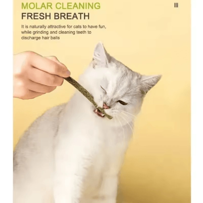 Natural Matatabi Silvervine Cat Sticks Dental Chew Interactive Cat Toy 8