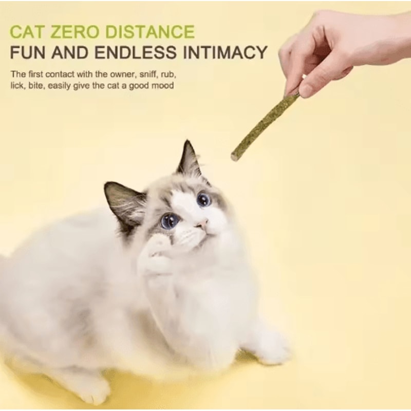 Natural Matatabi Silvervine Cat Sticks Dental Chew Interactive Cat Toy 9