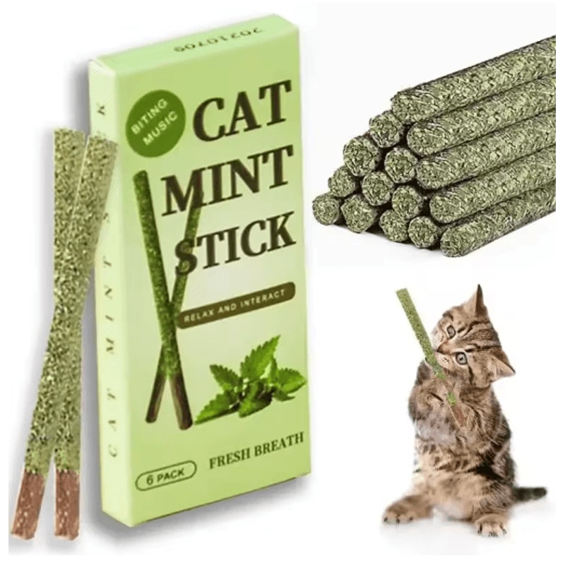 Natural Matatabi Silvervine Cat Sticks Dental Chew Interactive Cat Toy 0