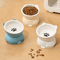 Creative Ceramic Cat Bowl Elevated Slanted Feeding Water Bowl For Cats And Small Dogs 8