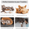 MDMWL01 Cat Ring Door Holder Cute CatShaped Door Stopper Door Opener 8