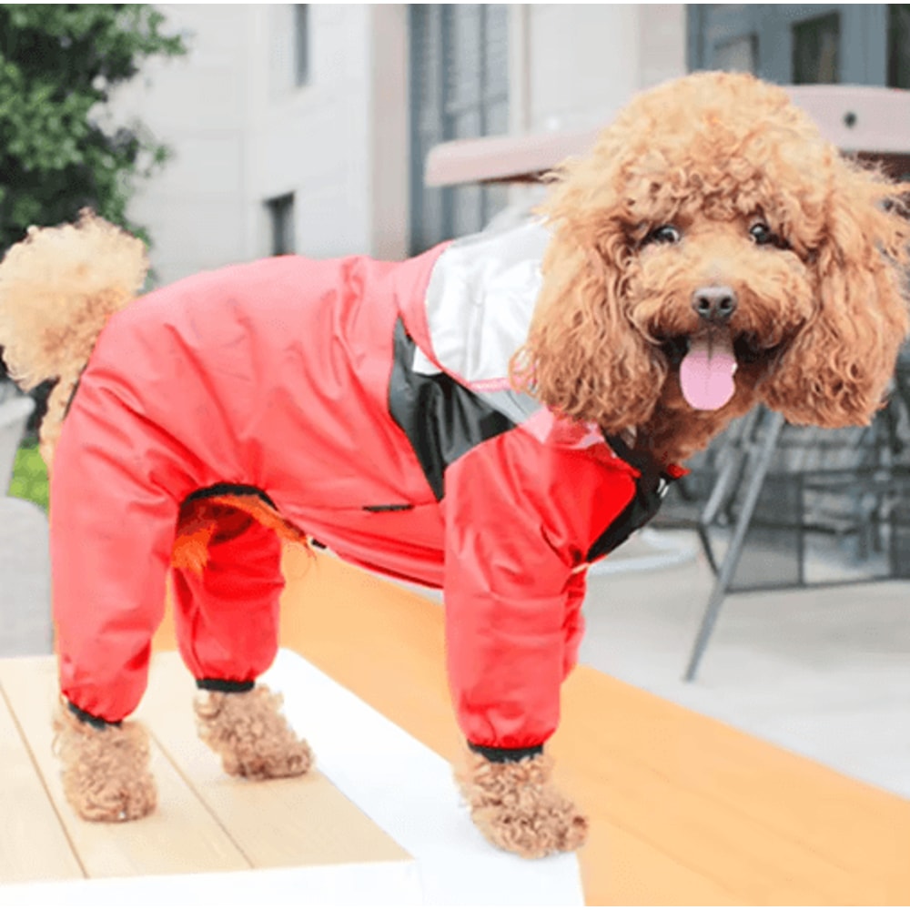 Transparent Hooded Pet Raincoat Waterproof Jumpsuit For Dogs Cats 2
