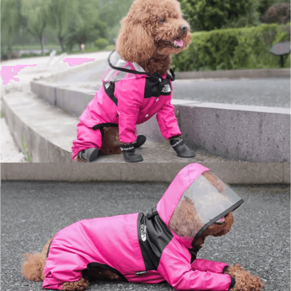 Transparent Hooded Pet Raincoat Waterproof Jumpsuit For Dogs Cats 4