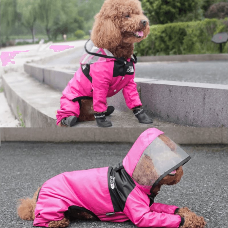 Transparent Hooded Pet Raincoat Waterproof Jumpsuit For Dogs Cats 4
