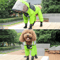 Transparent Hooded Pet Raincoat Waterproof Jumpsuit For Dogs Cats 5