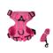Reflective Pet Harness Leash Set Breathable Vest For Small Medium Dogs And Cats 2