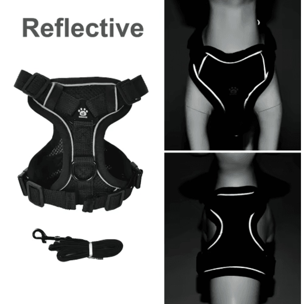 Reflective Pet Harness Leash Set Breathable Vest For Small Medium Dogs And Cats 8