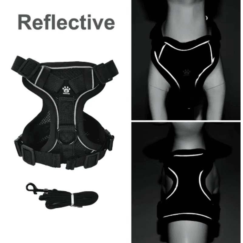 Reflective Pet Harness Leash Set Breathable Vest For Small Medium Dogs And Cats 8