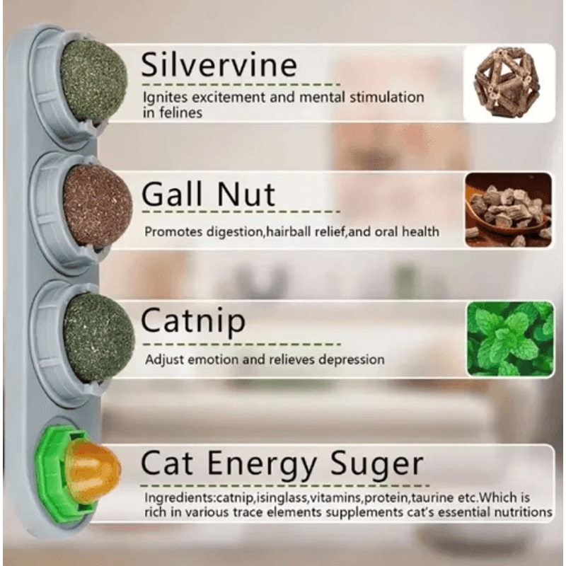 4in1 Rotating Catnip Silvervine Ball Toy WallMounted Dental Interactive Cat Treat Toy 10