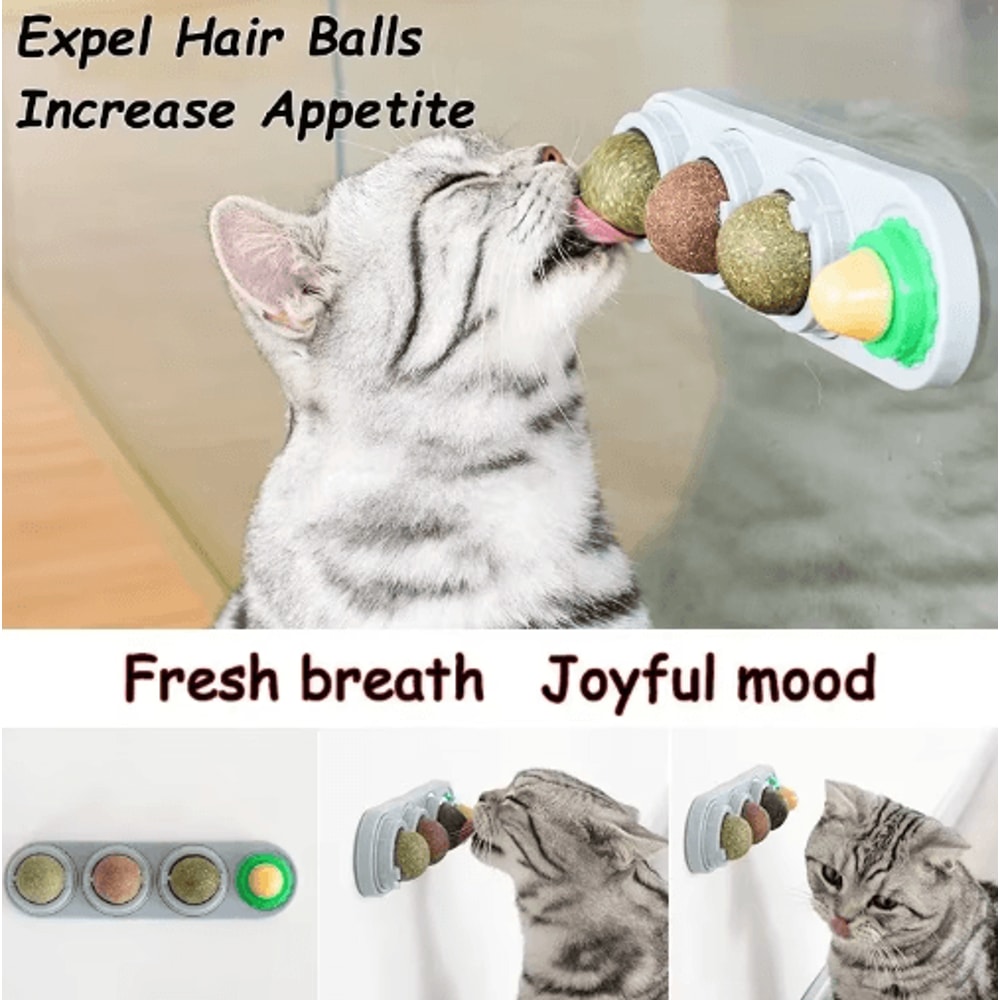 4in1 Rotating Catnip Silvervine Ball Toy WallMounted Dental Interactive Cat Treat Toy 8