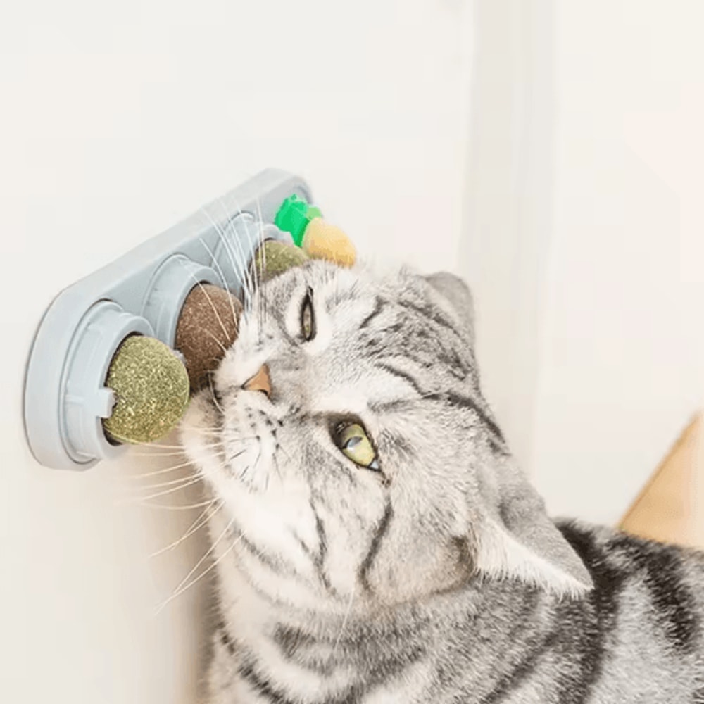 4in1 Rotating Catnip Silvervine Ball Toy WallMounted Dental Interactive Cat Treat Toy 0
