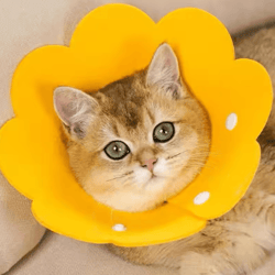protective recovery cone collar – anti-lick & anti-bite healing collar for dogs & cats