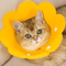 Protective Recovery Cone Collar AntiLick AntiBite Healing Collar For Dogs Cats 0