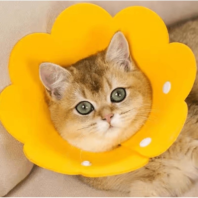 Protective Recovery Cone Collar AntiLick AntiBite Healing Collar For Dogs Cats 0