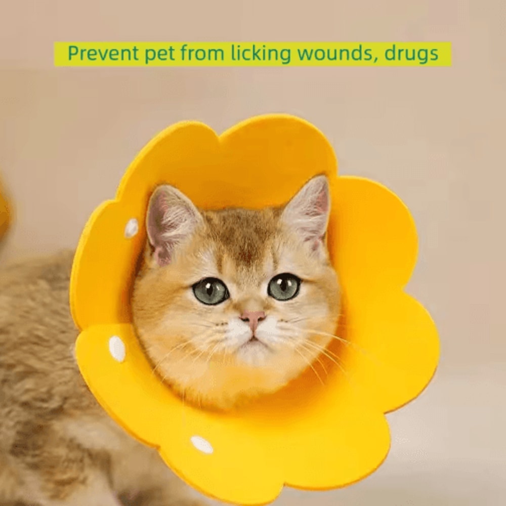 Protective Recovery Cone Collar AntiLick AntiBite Healing Collar For Dogs Cats 8