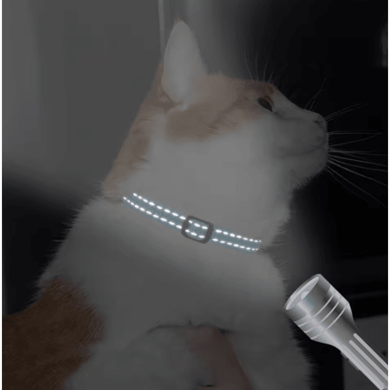 Customized Reflective Nylon Pet Collar Adjustable ID Collar For Cats Puppies Small Dogs 12