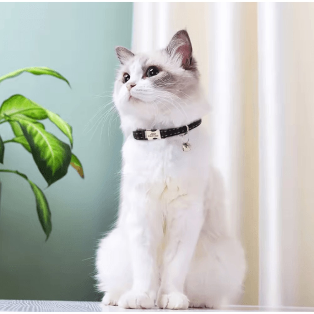Customized Reflective Nylon Pet Collar Adjustable ID Collar For Cats Puppies Small Dogs 13