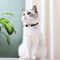 Customized Reflective Nylon Pet Collar Adjustable ID Collar For Cats Puppies Small Dogs 13
