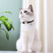 Customized Reflective Nylon Pet Collar Adjustable ID Collar For Cats Puppies Small Dogs 13
