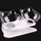 NonSlip Double Elevated Cat Bowl Set Inclined Food Water Feeder For Cats And Small Dogs 10