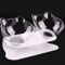 NonSlip Double Elevated Cat Bowl Set Inclined Food Water Feeder For Cats And Small Dogs 10