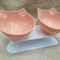 NonSlip Double Elevated Cat Bowl Set Inclined Food Water Feeder For Cats And Small Dogs 3