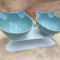 NonSlip Double Elevated Cat Bowl Set Inclined Food Water Feeder For Cats And Small Dogs 4